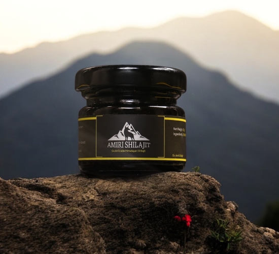 Himalayan Shilajit Resin Gold Grade 30g