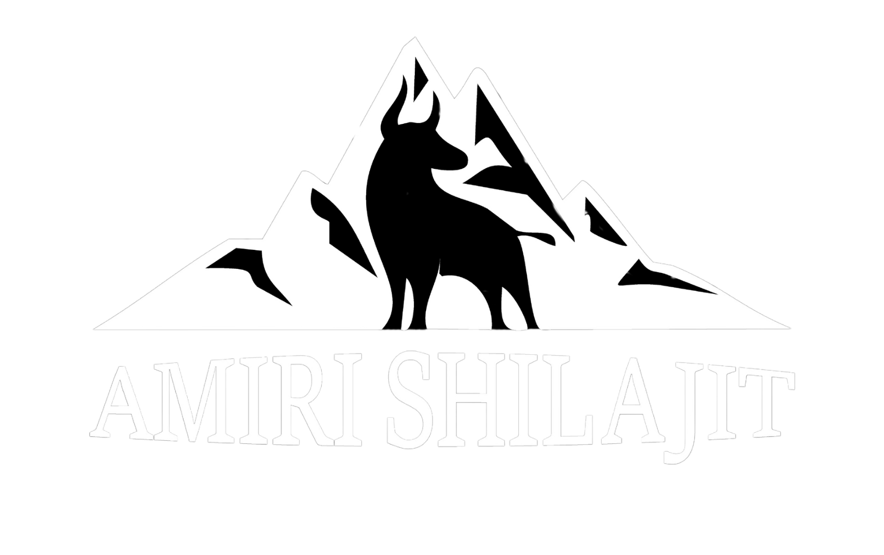 Amiri Shilajit - Shilajit Company