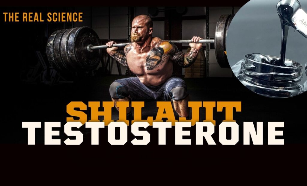 Does shilajit increase testosterone?