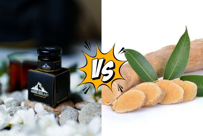 Shilajit vs Tongkat Ali: Which Is Better for Energy and Vitality?