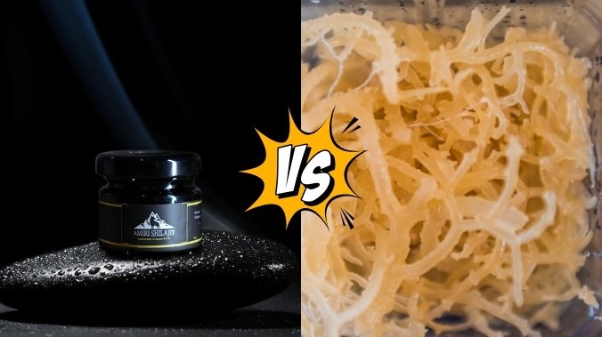 Shilajit vs Sea Moss: Comparison of Benefits, Nutrients, and Usage