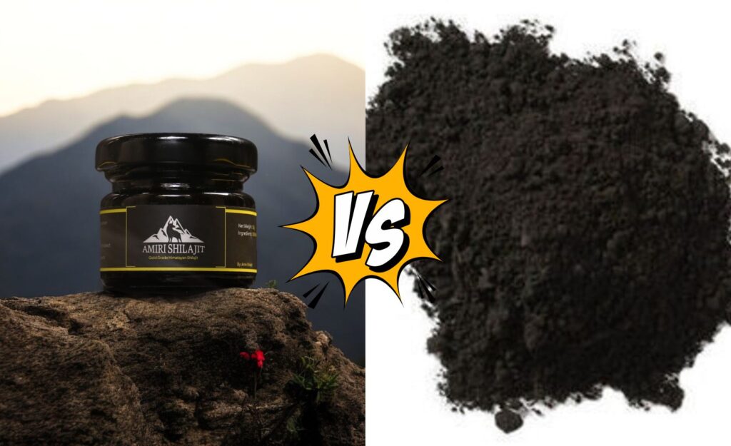 Shilajit resin vs shilajit powder