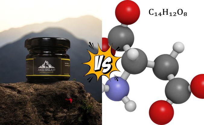 Shilajit vs Fulvic acid