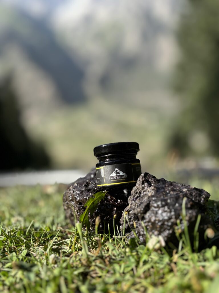 How Shilajit Drops Support Immune System Health Naturally