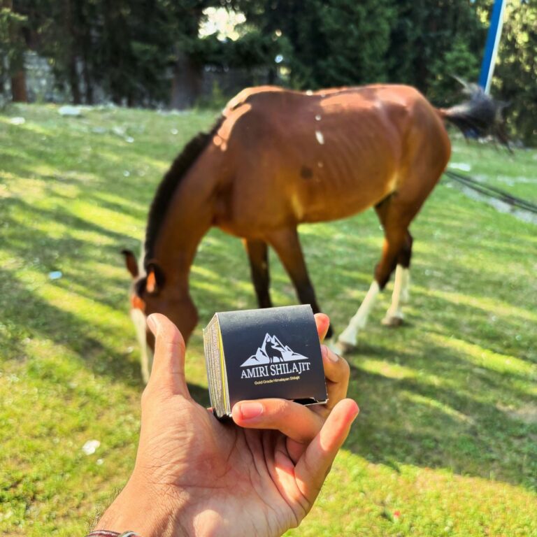 Why Do Experts in Germany Recommend Resin Shilajit Over Capsules?