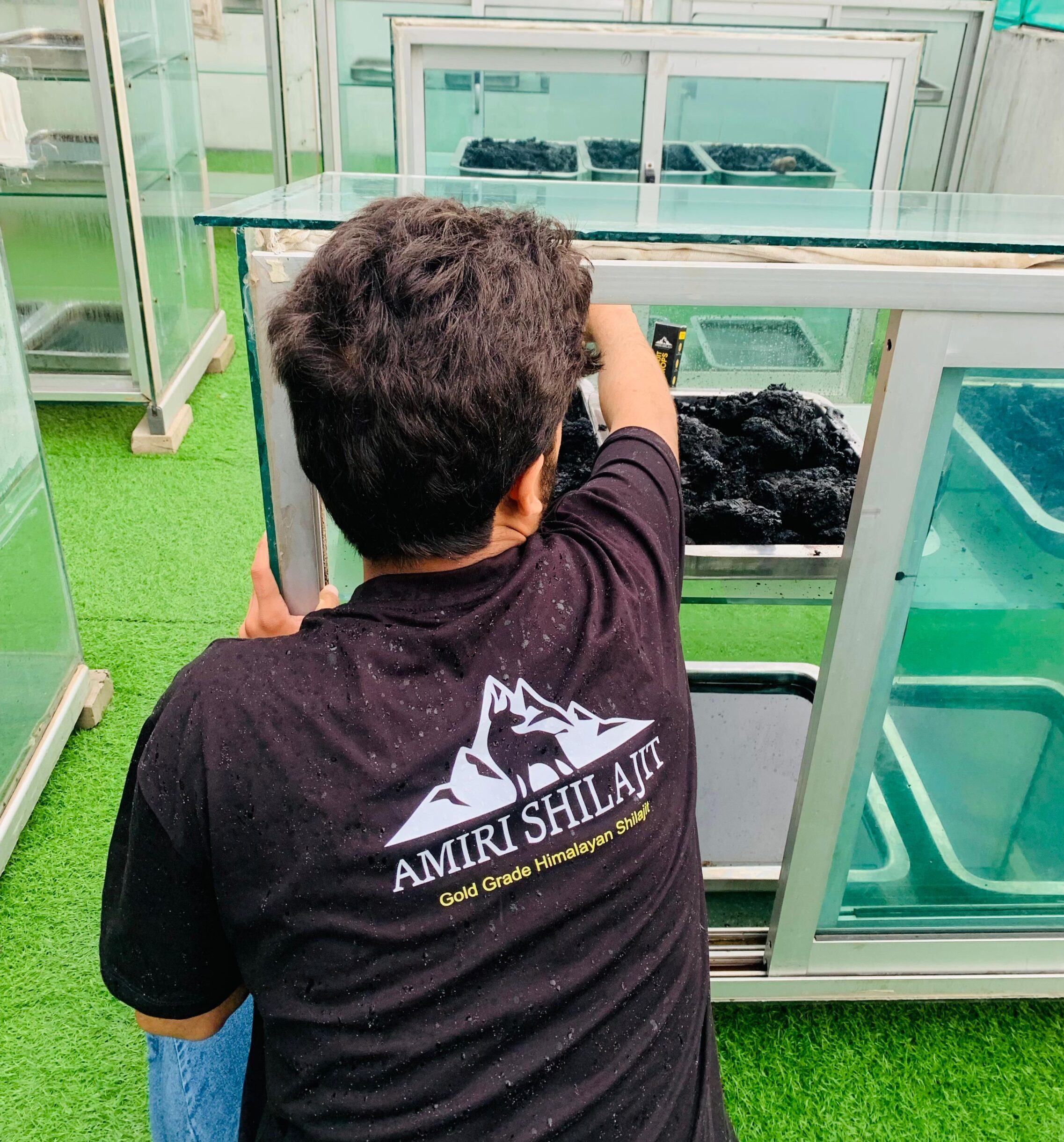 Amiri Shilajit Performs Sun Drying Process for 40 Days