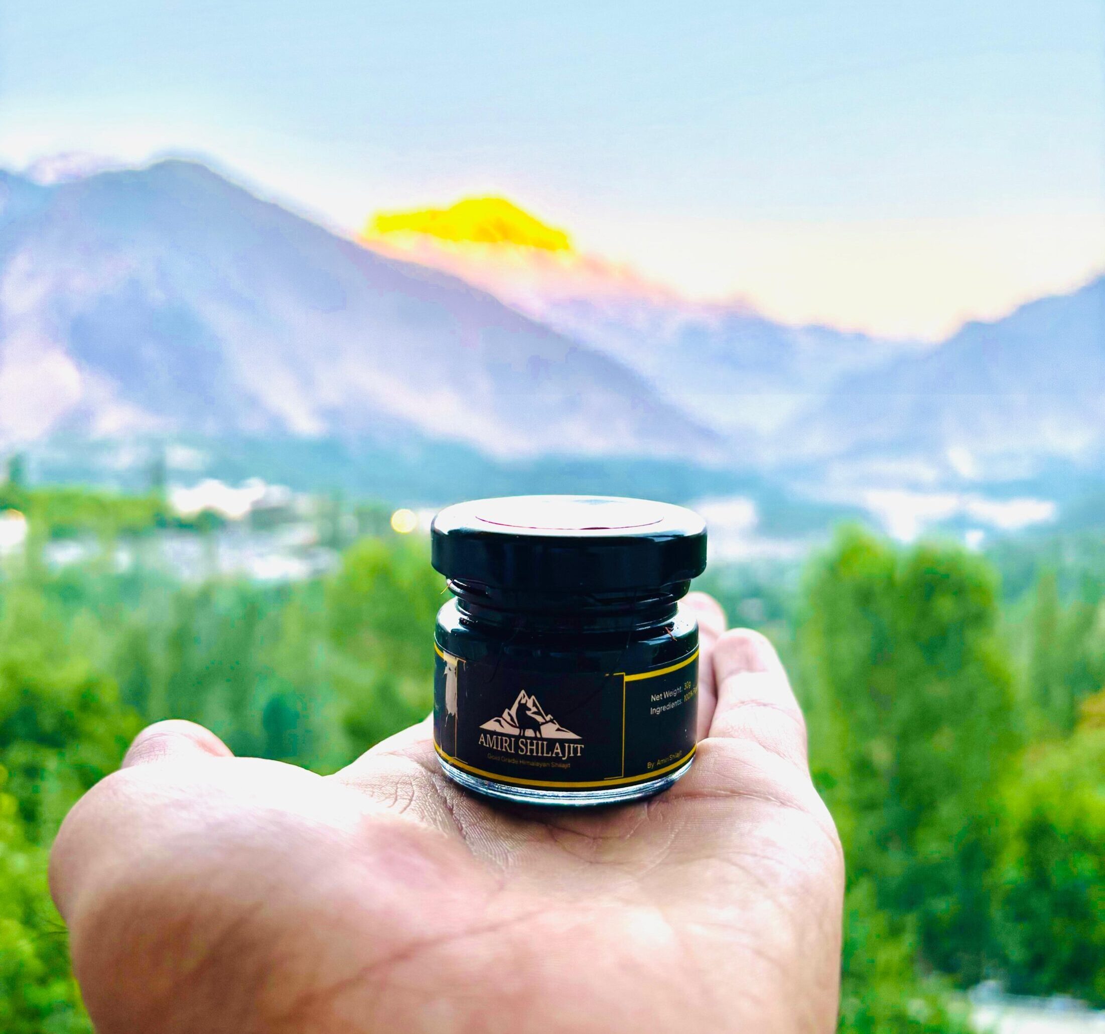 Best shilajit brand in USA