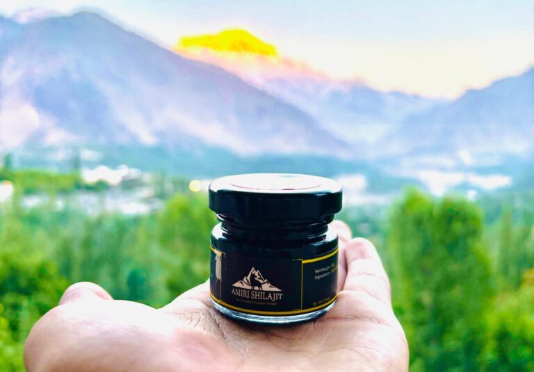 9 Toxins Shilajit Helps To Remove for a Complete Body Detox