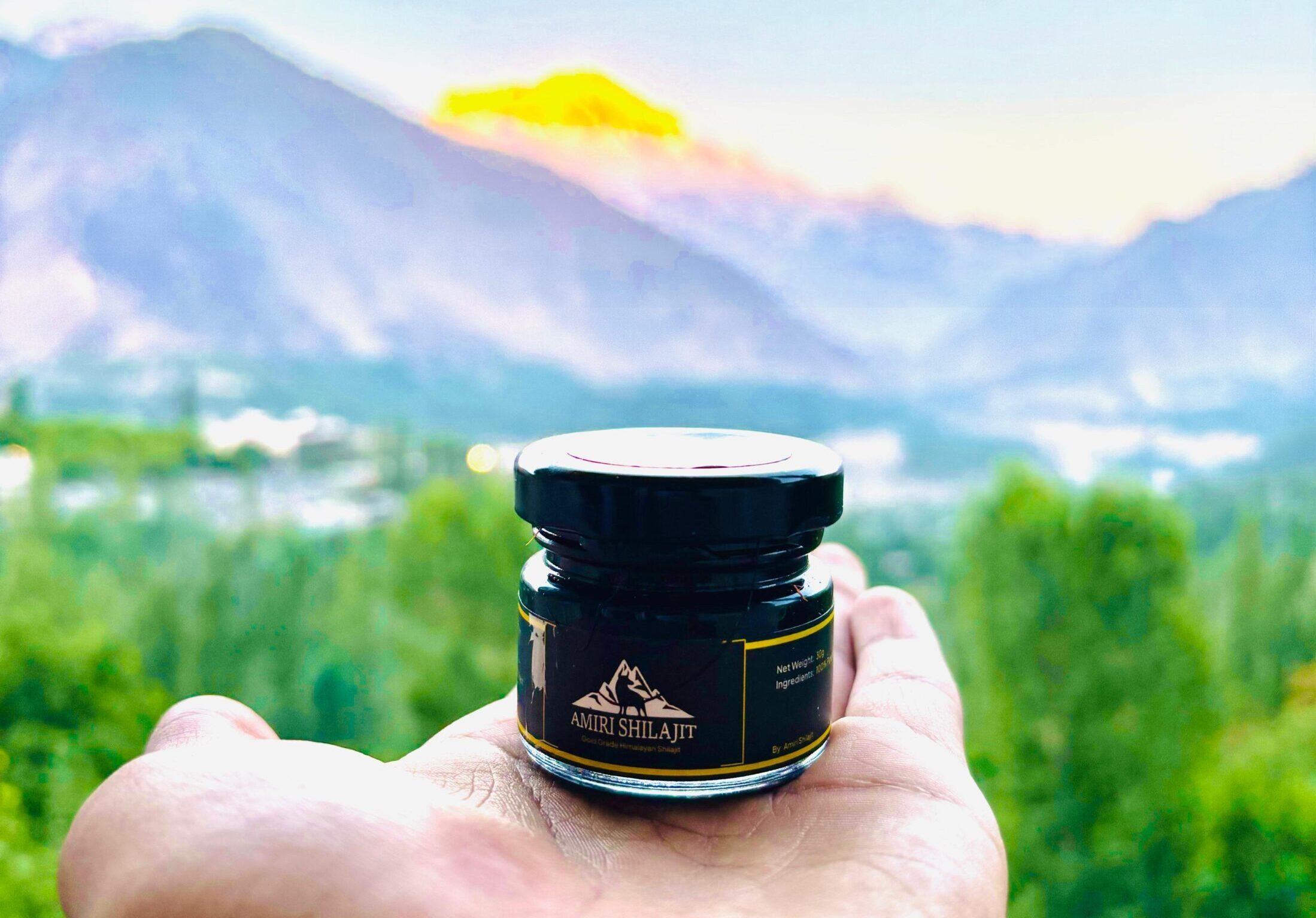 Best shilajit