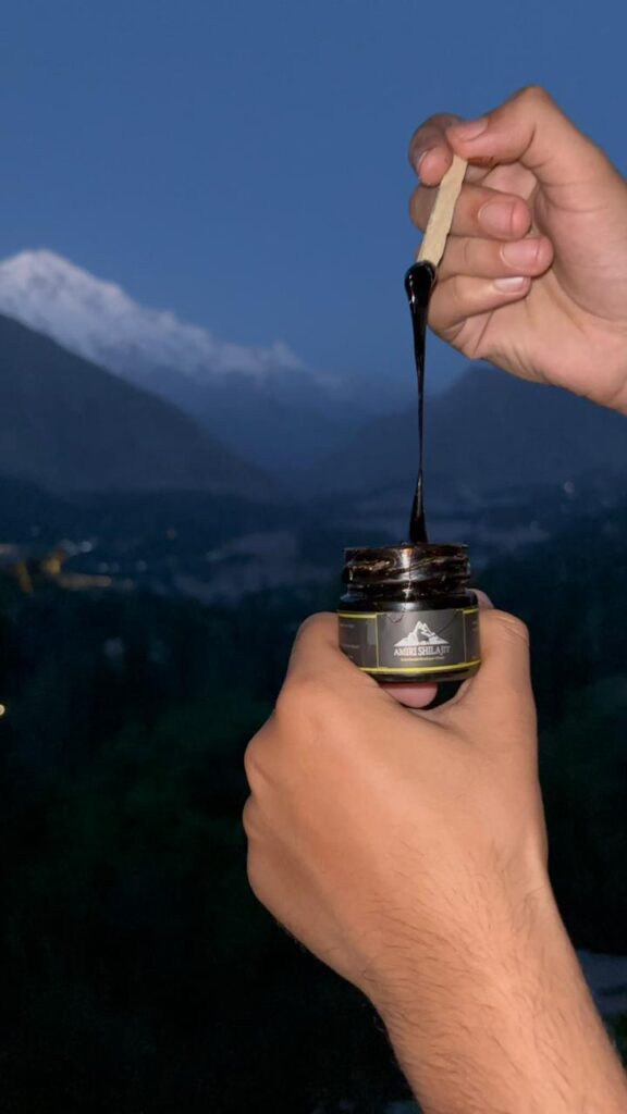 shilajit before bed