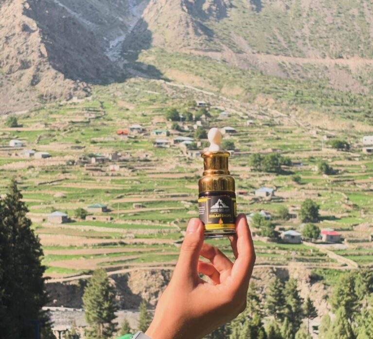 Shilajit Benefits for Women: Complete Guide to Uses, Results & Safety