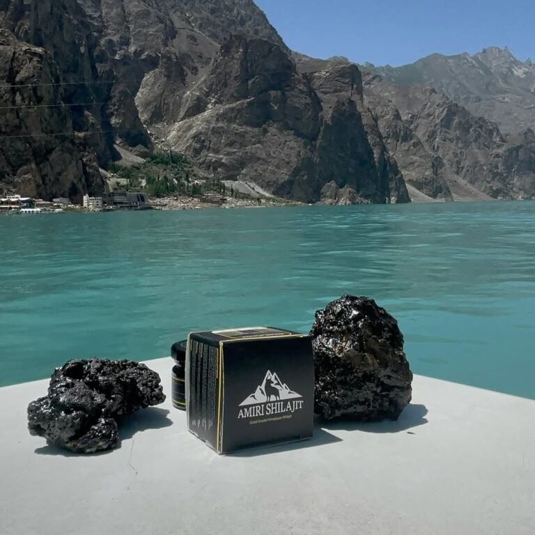 7 Powerful Reasons to Choose Shilajit Resin In 2025