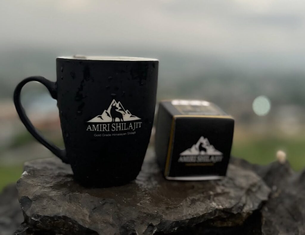 reason to choose shilajit resin 