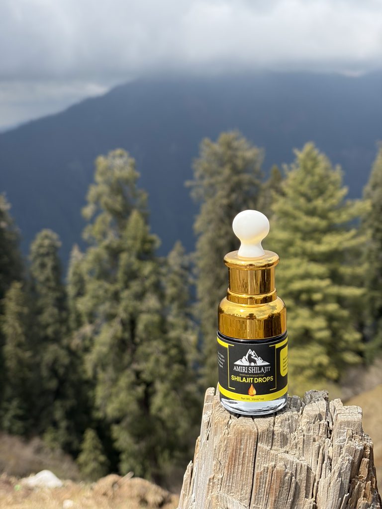 Is Shilajit a Natural Remedy in the USA
