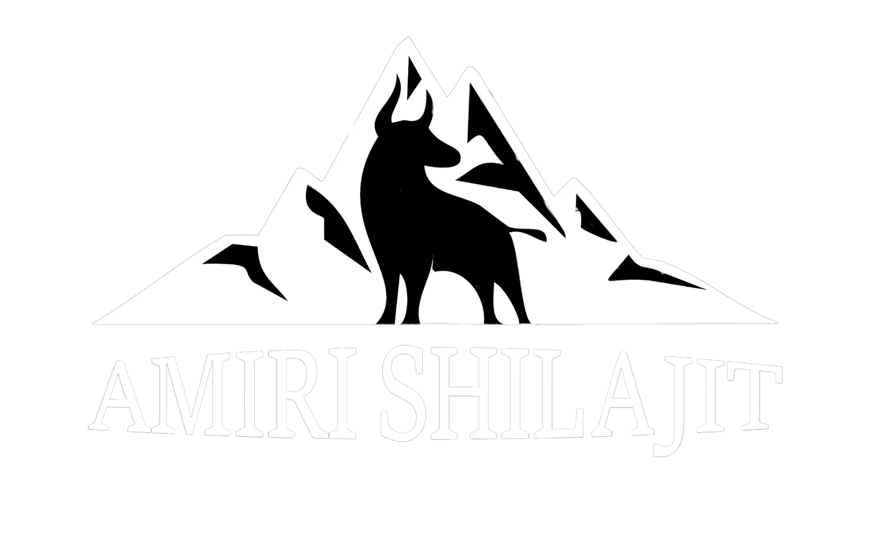 Amiri Shilajit - Shilajit Company