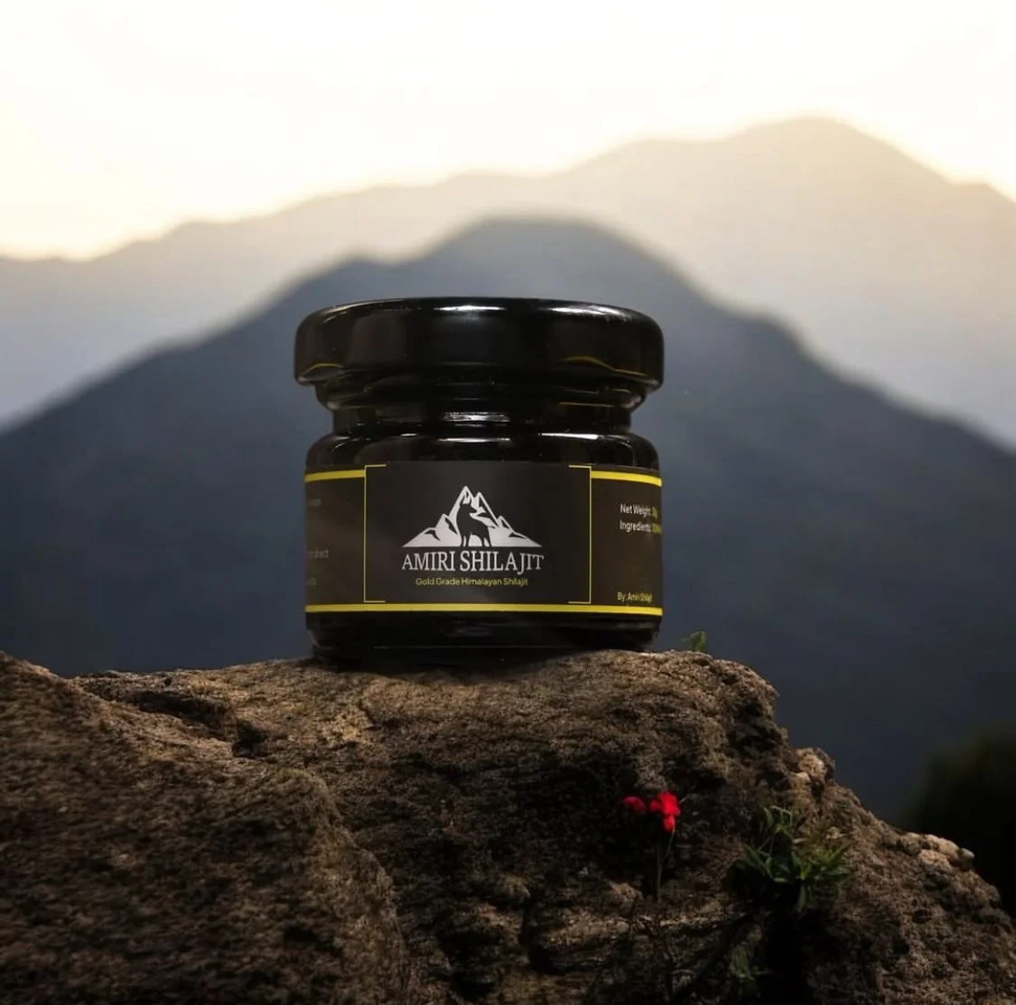 shilajit for athletes