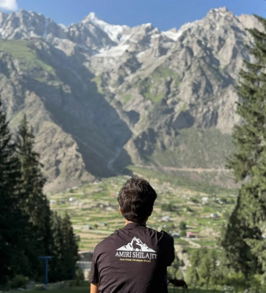 Amiri shilajit